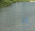 В Харьковской области утонул подросток