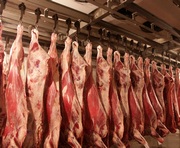 В Украину запрещен ввоз мяса из Сибири