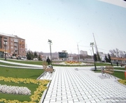 Харьковская площадь Восстания украсилась липовой аллеей