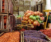 Харькову дадут денег на оптовый овощной рынок