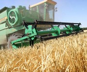 Украина собрала 44,2 млн. тонн зерновых