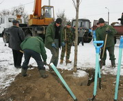 Полтавский Шлях засадили каштанами